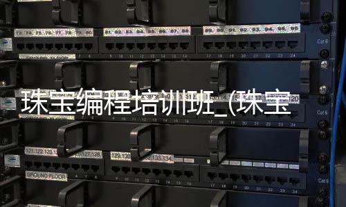 珠宝编程培训班_(珠宝编程培训班哪家好)