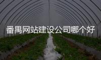 番禺网站建设公司哪个好（番禺做网站）