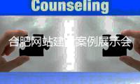 合肥网站建设案例展示会（合肥网站建设公司排名）
