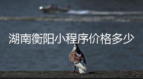 湖南衡阳小程序价格多少（衡阳可约）