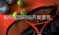 如何知道网站开发语言_(如何知道网站开发语言是否正常)