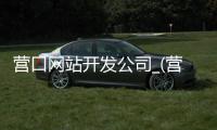 营口网站开发公司_(营口网站开发公司招聘)